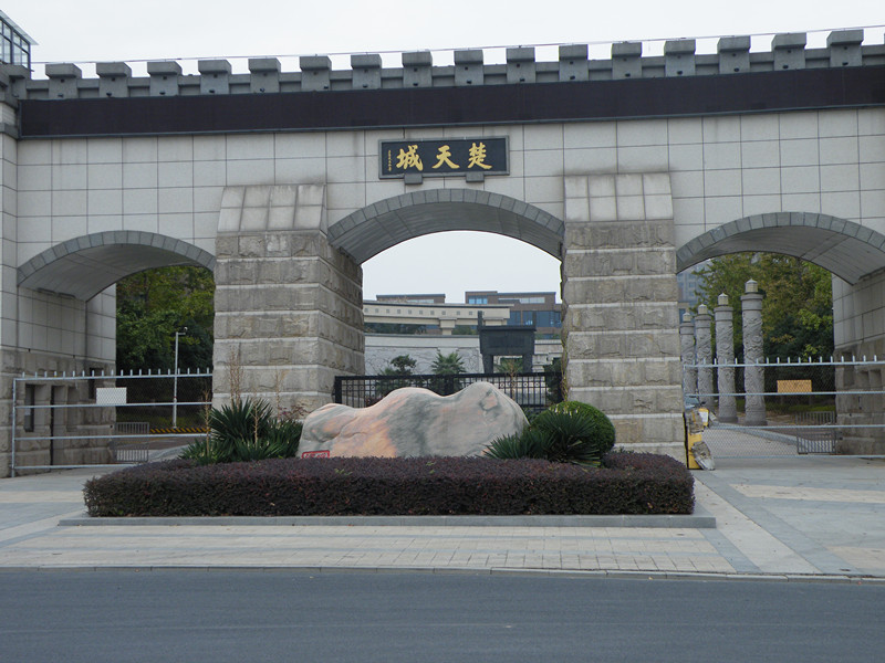 成天楚2_副本.jpg